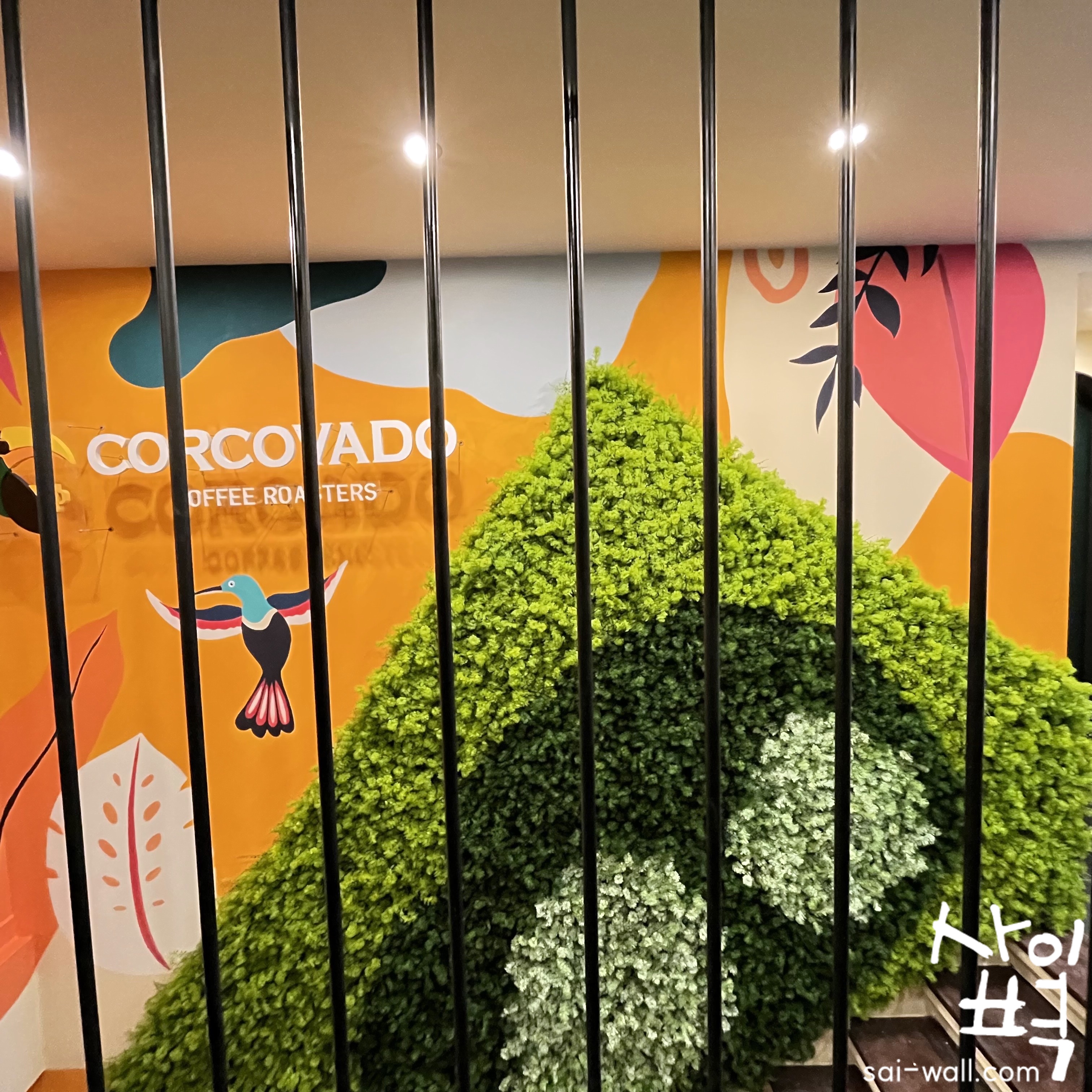 브라질카페 꼬르꼬바두 벽화 시공 사진 14